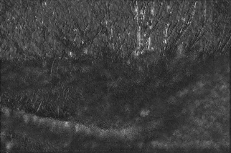 The same photograph, almost entirely dissolved into a dark, streaked texture. A few pale trunks are still visible.
